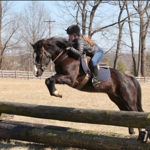 Meet your Posher, Linda